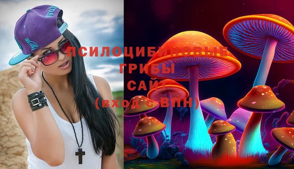 шишки Елабуга