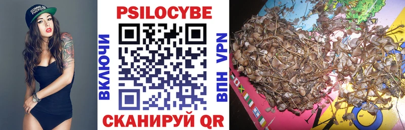 даркнет сайт  Адыгейск  Галлюциногенные грибы MAGIC MUSHROOMS 